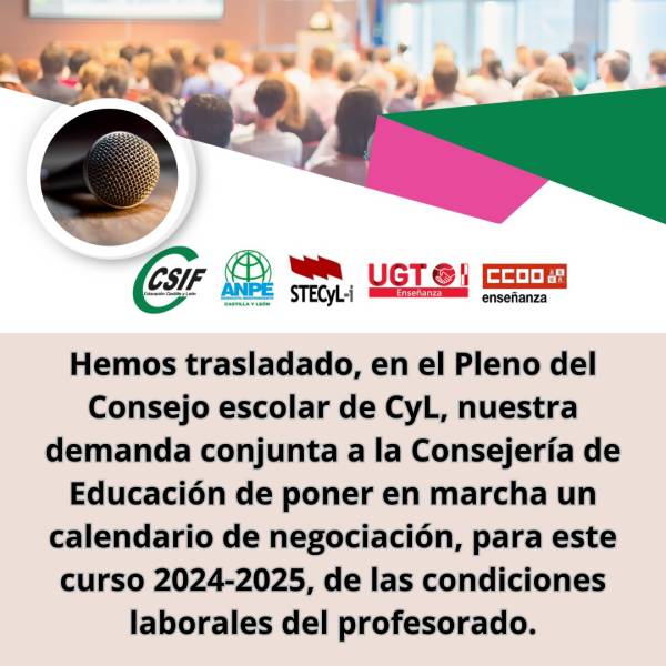 CCOO y resto de OOSS demandan a la Consejería de Educación, en el Pleno del Consejo Escolar de CyL, poner en marcha un calendario de negociación para este curso 2024-2025