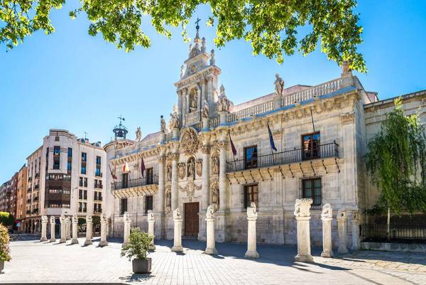 UVA. Reconocimiento de las categorías profesionales PTGAS funcionario. Convocatoria